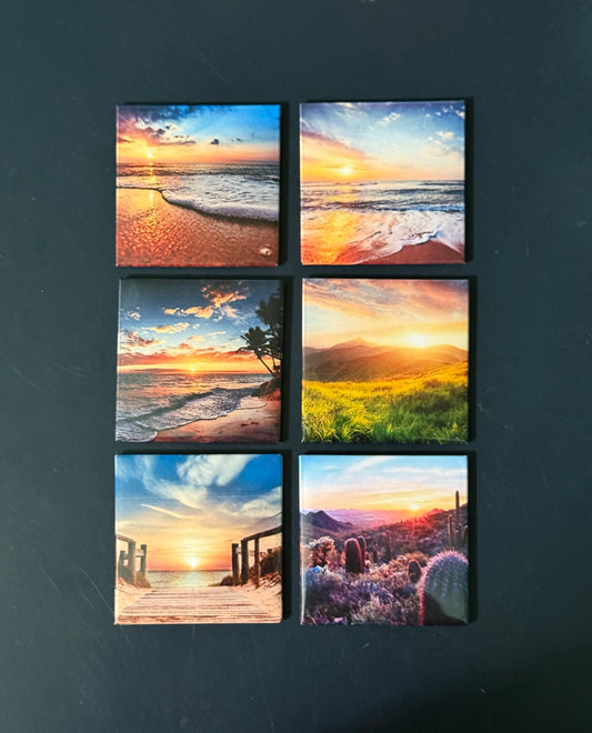6 piece Button Magnets 2x2